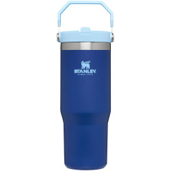STANLEY IceFlow Stainless Steel Tumbler with Straw – Vacuum Insulated Water Bottle