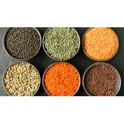 Buy Grade A Lentils Beans