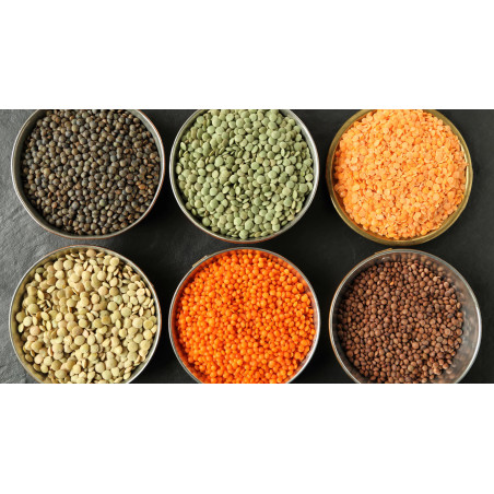 Buy Grade A Lentils Beans