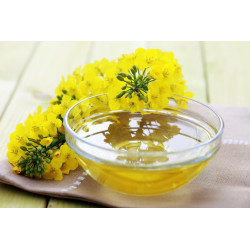 Buy Refined Canola Oil