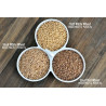 Grade A Wheat Grain – Premium Whole Wheat for Baking & Cooking