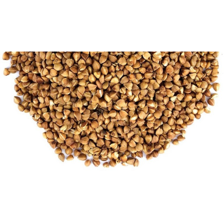 Buy Grade A Buckwheat Grain