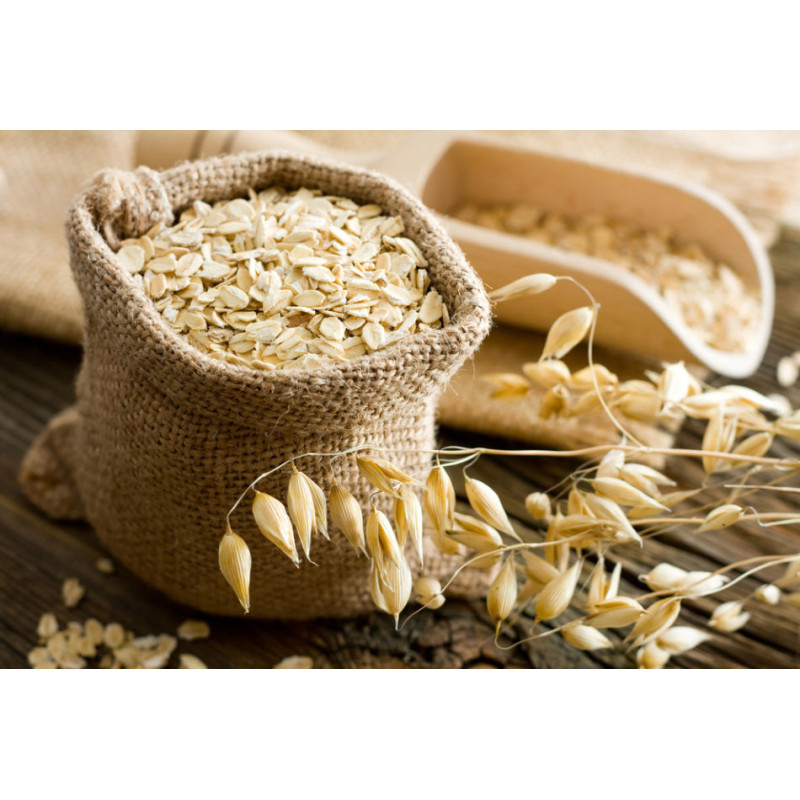 Buy Grade White Oat Buy Grade White Oat