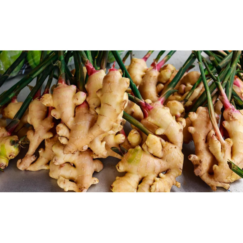 Buy Fresh Ginger