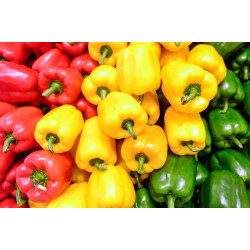 Buy Fresh Bell Pepper