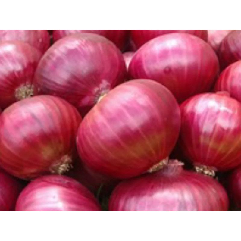 Buy Grade A Fresh Onion