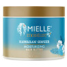 Buy Mielle Moisture RX Hawaiian Ginger Hair Butter