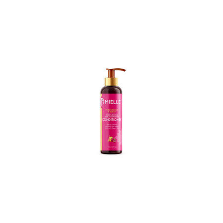 buy Mielle Pomegranate & Honey Detangling Shampoo