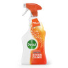 Buy Dettol Power & Pure KItchen Spray 750ml