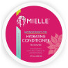 Mielle Organics